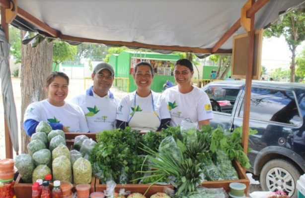thumbnail de Agricultores do projeto Jucati Sustentável participam de Feira Agroecológica intermunicipal